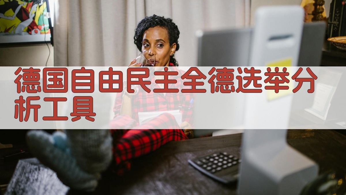 德国自由民主全德选举分析工具
