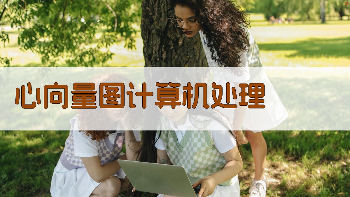 心向量图计算机处理