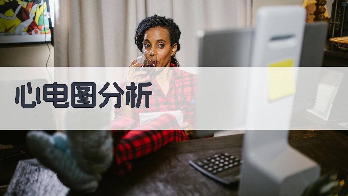 AI心电图分析工具