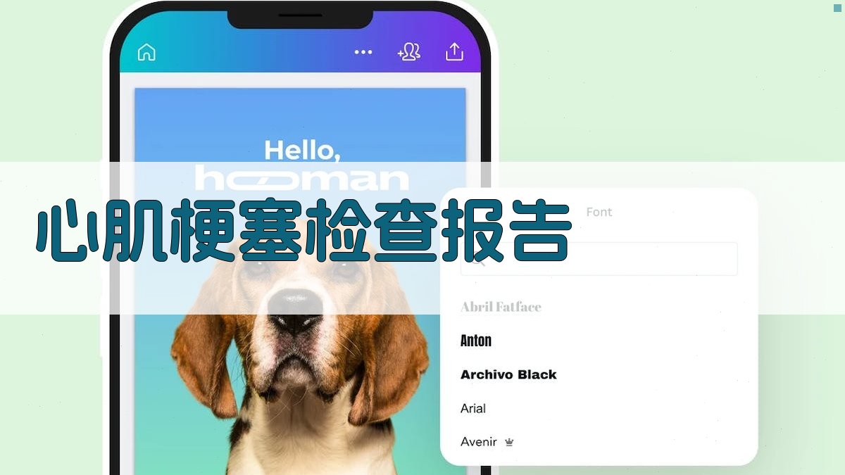 AI心肌梗塞检查报告生成器