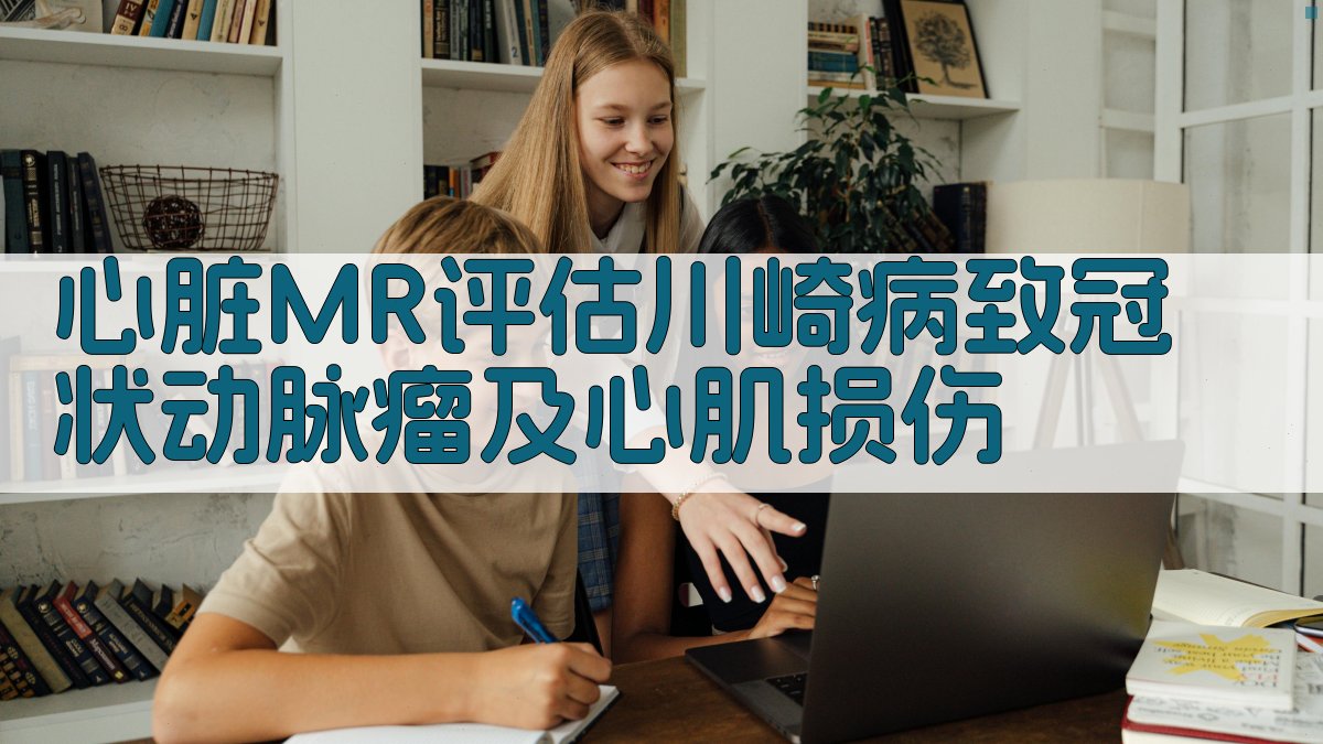 AI心脏MR评估工具