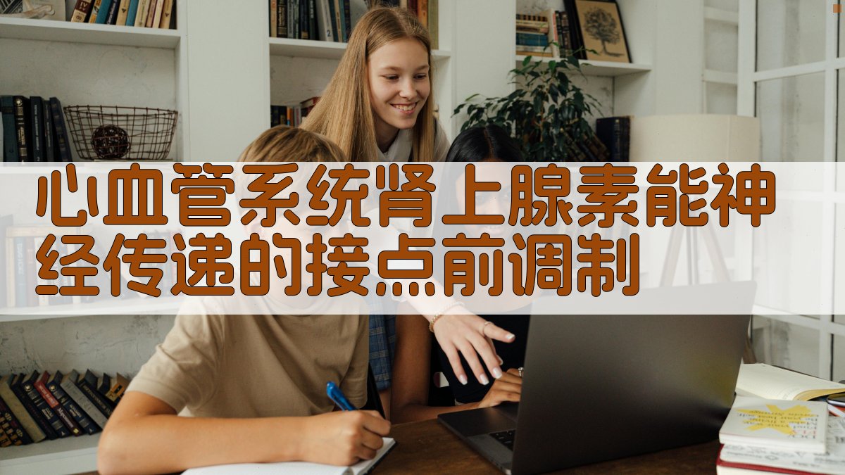 心血管系统肾上腺素能神经传递的接点前调制