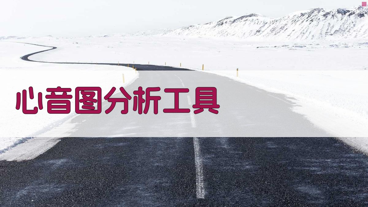 AI心音图分析工具