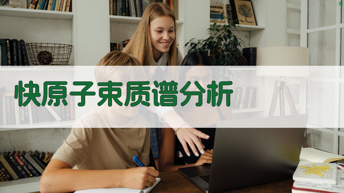 AI快原子束质谱分析