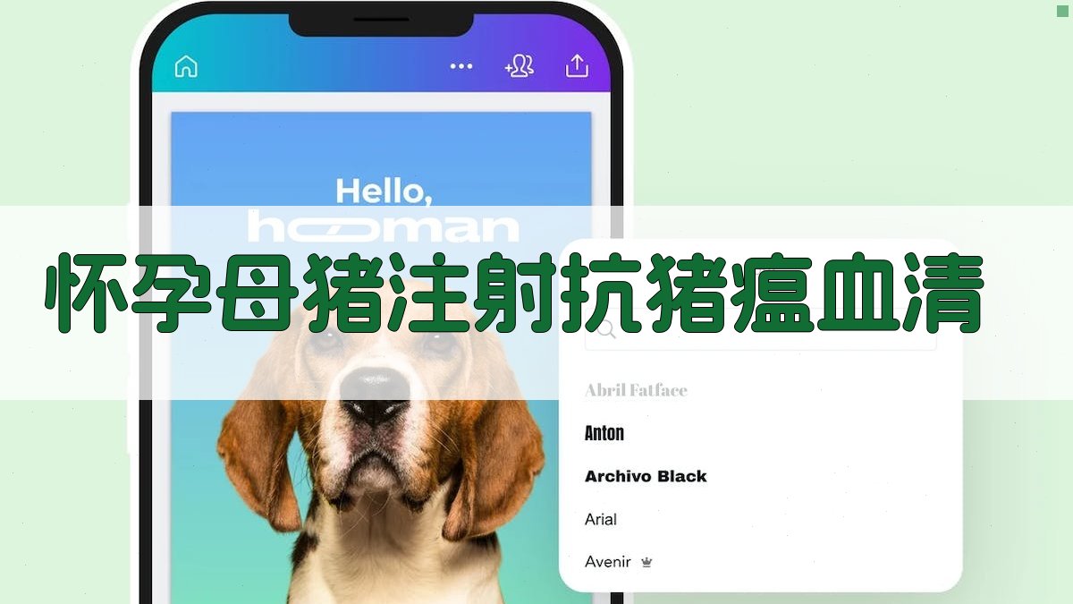 怀孕母猪注射抗猪瘟血清病例分析