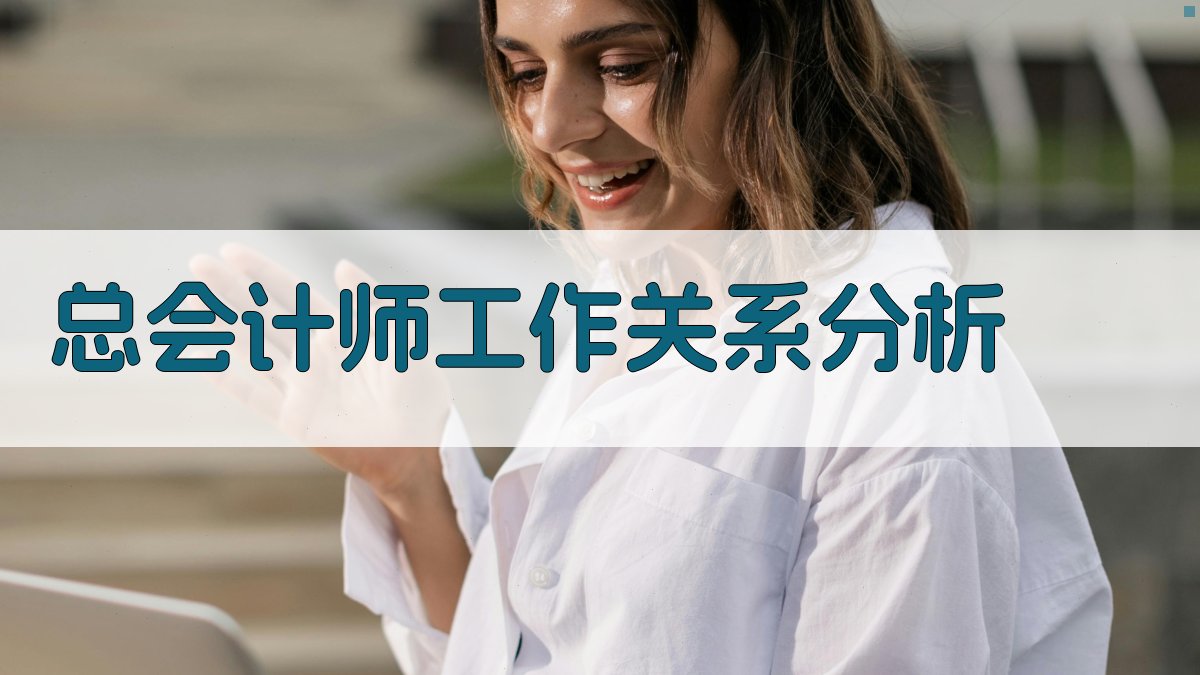 总会计师工作关系分析
