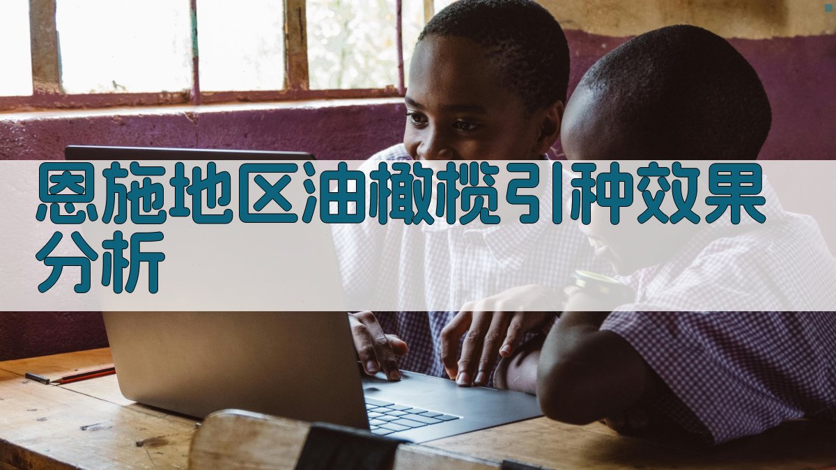 恩施地区油橄榄引种效果分析