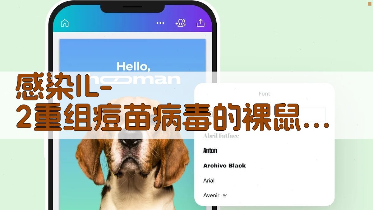 感染IL-2重组痘苗病毒的裸鼠恢复免疫功能