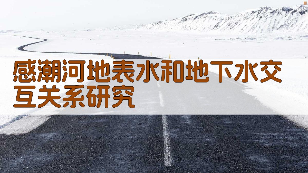 AI一键生成感潮河地表水和地下水交互关系研究方案