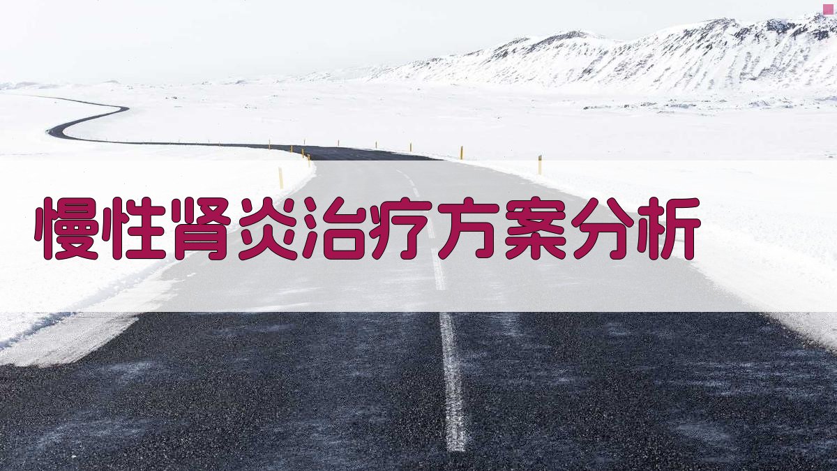 慢性肾炎治疗方案分析