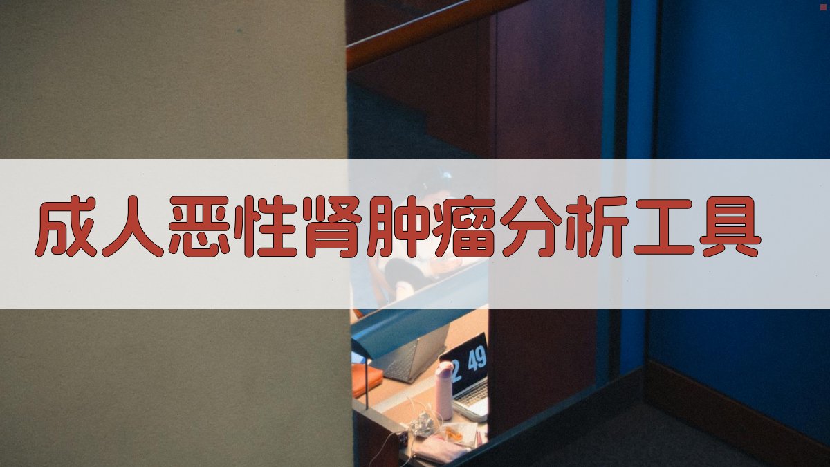 成人恶性肾肿瘤分析工具