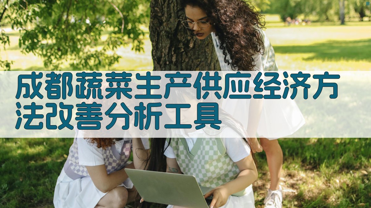 成都蔬菜生产供应经济方法改善分析工具