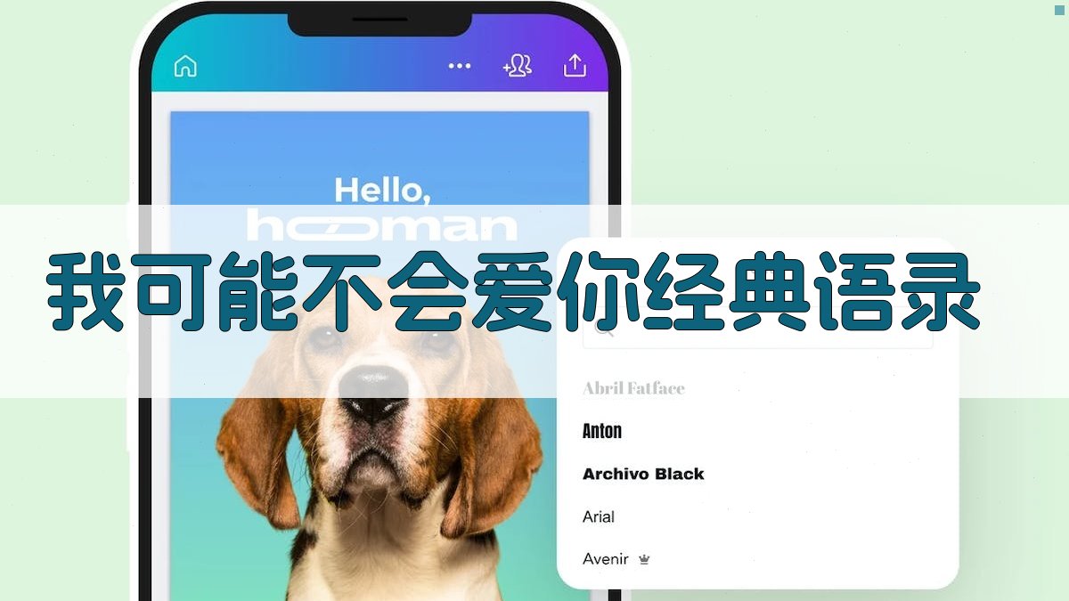 我可能不会爱你经典语录