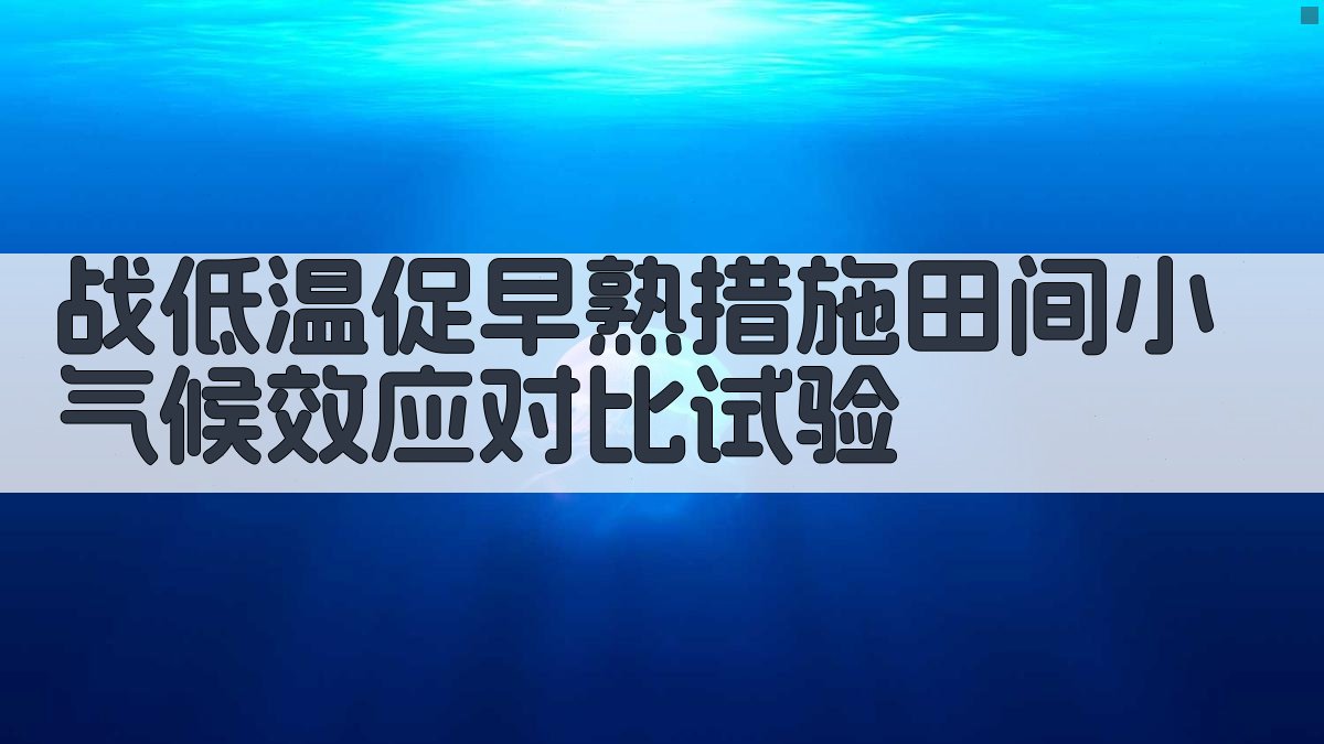 战低温促早熟措施田间小气候效应对比试验