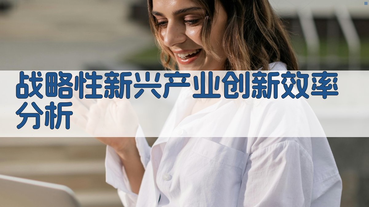 中国战略性新兴产业创新效率分析