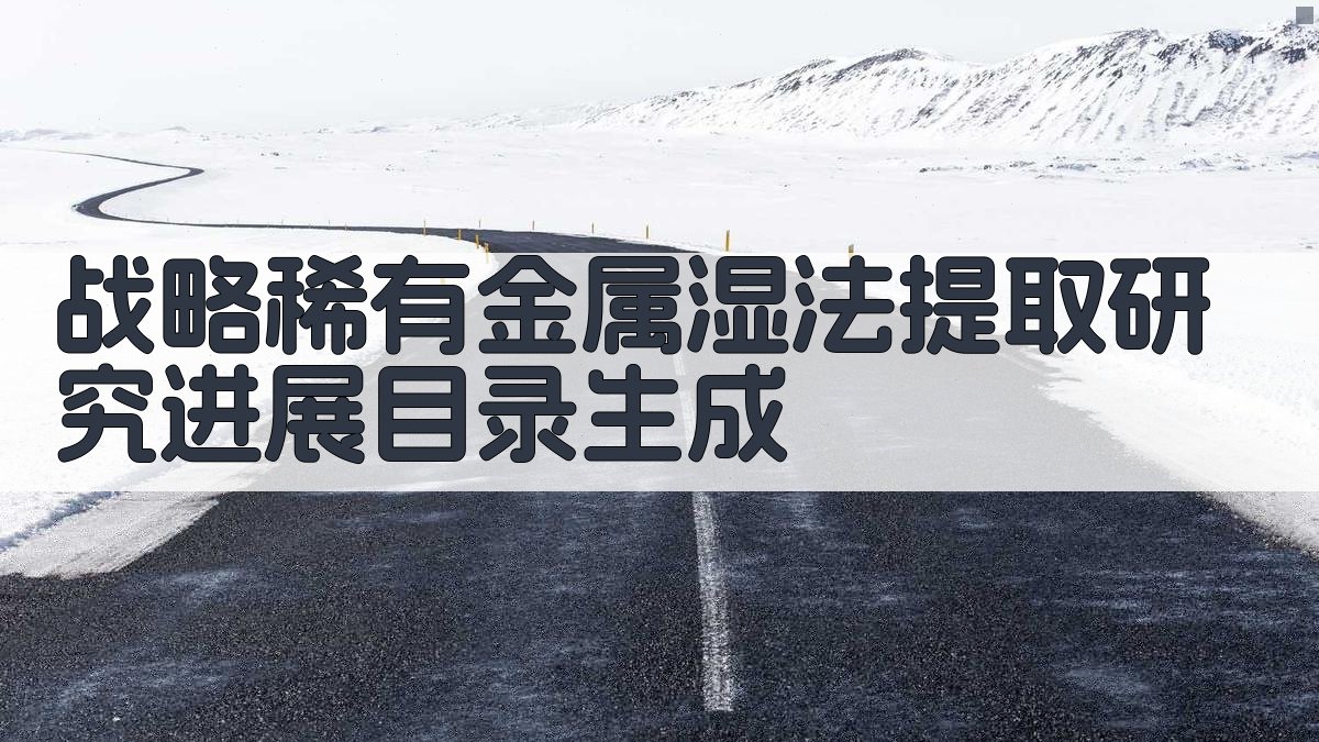 AI战略稀有金属湿法提取研究进展目录生成