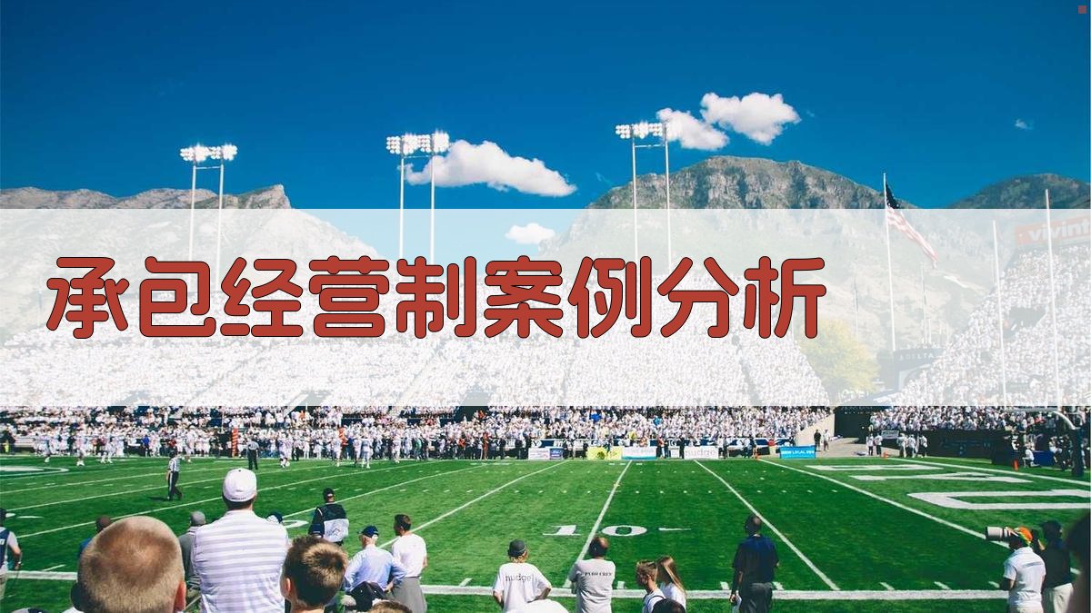 承包经营制企业改革案例分析