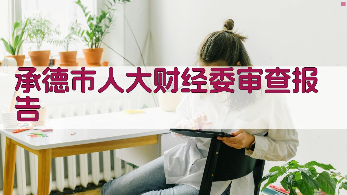 承德市人大财经委审查报告
