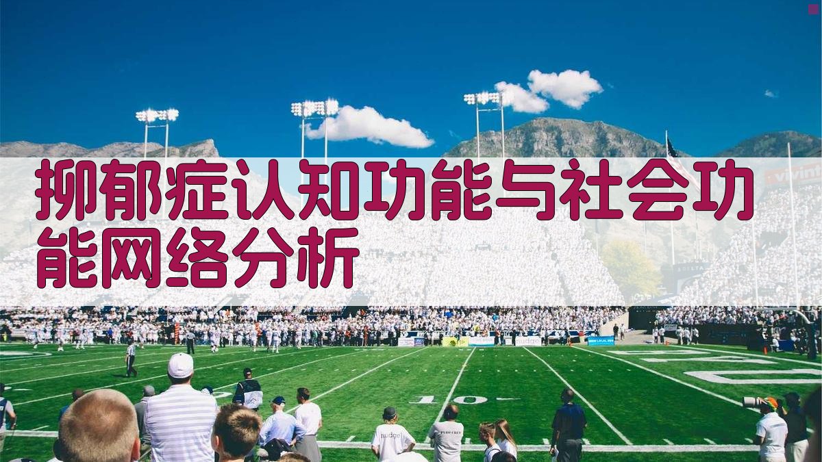 抑郁症认知功能与社会功能网络分析