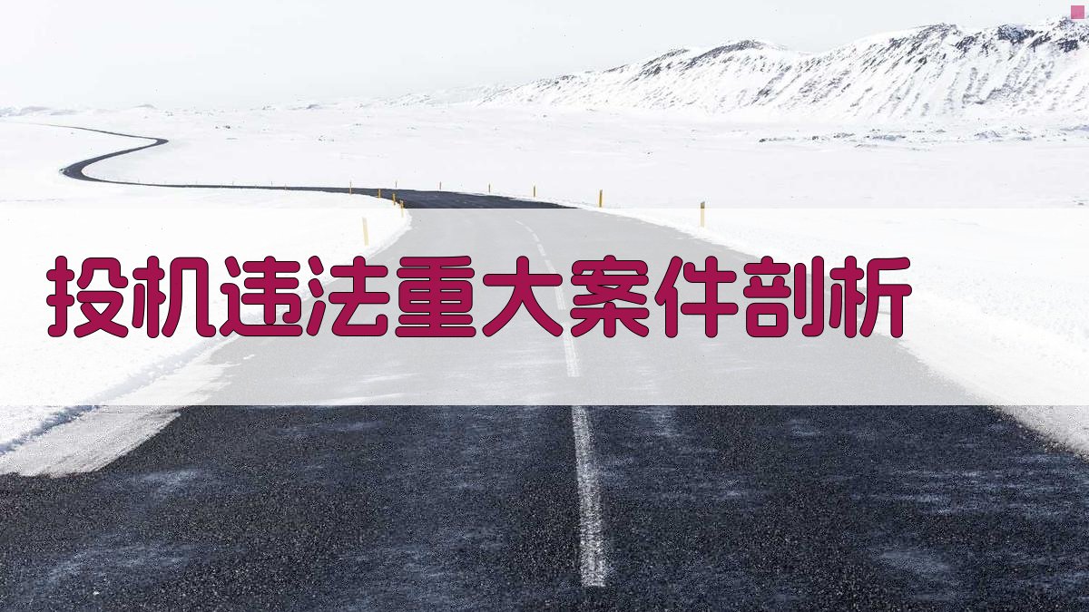 AI投机违法重大案件剖析