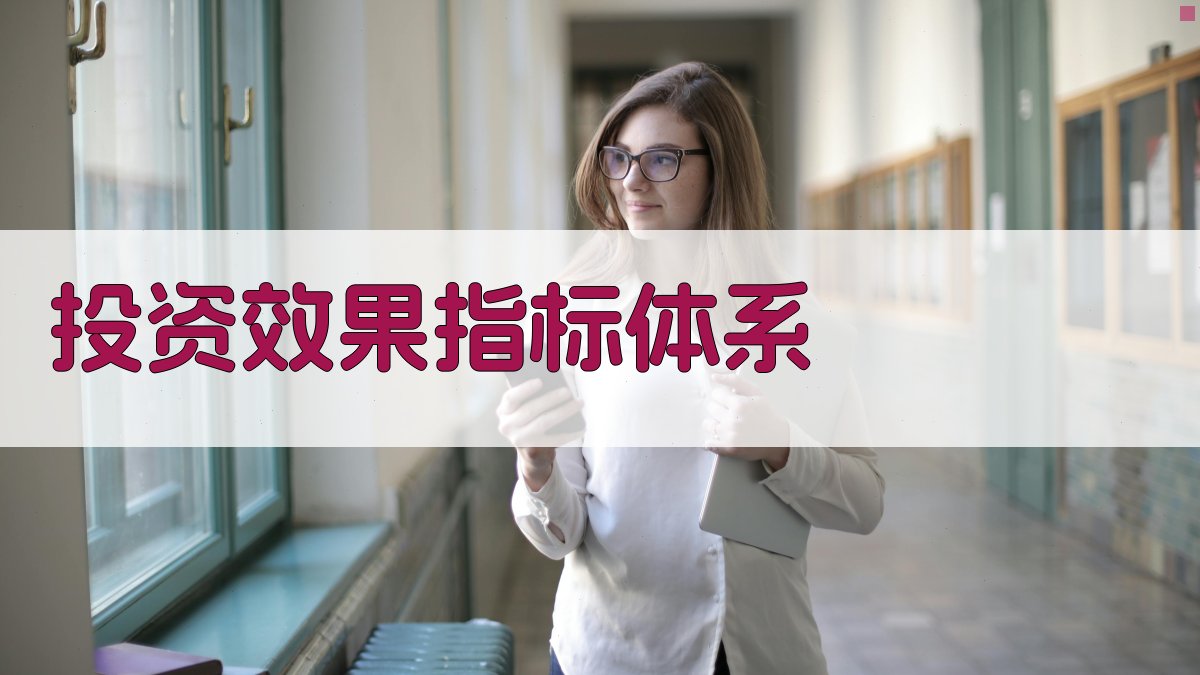 投资效果指标体系分析