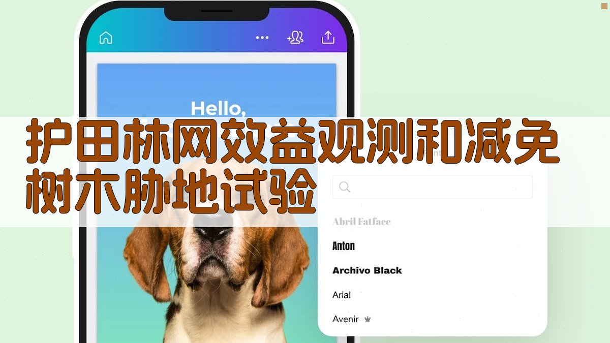 护田林网效益观测和减免树木胁地试验