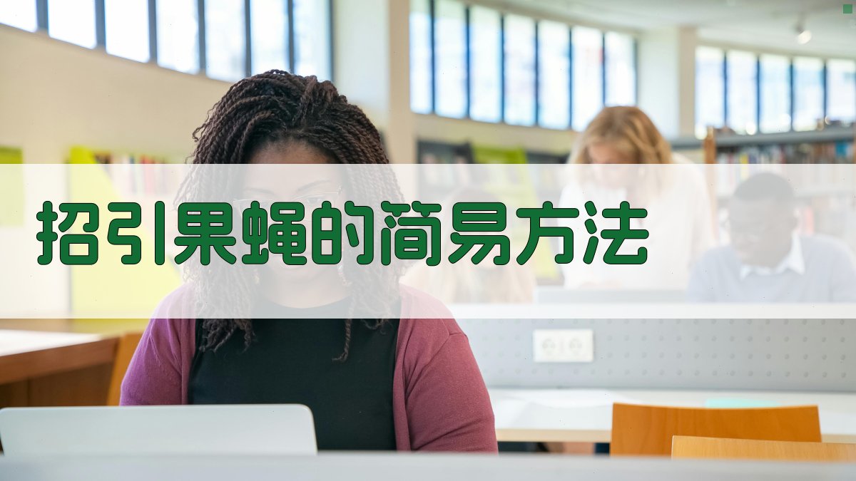 AI一键生成招引果蝇的简易方法