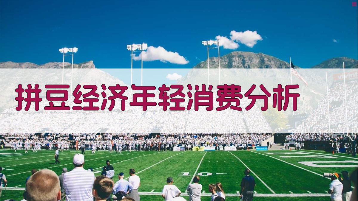 AI拼豆经济年轻消费分析