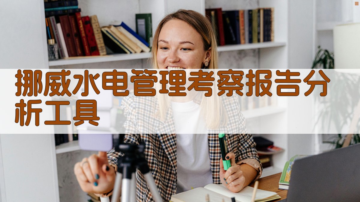 AI挪威水电管理考察报告分析工具