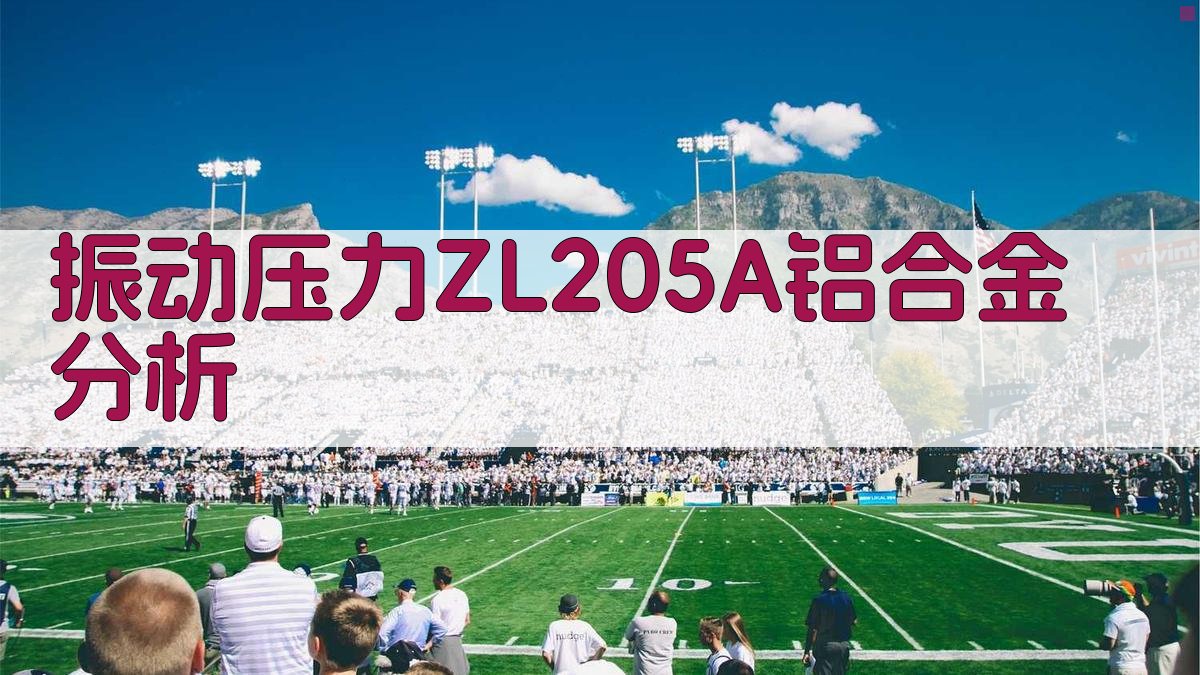 振动压力ZL205A铝合金分析