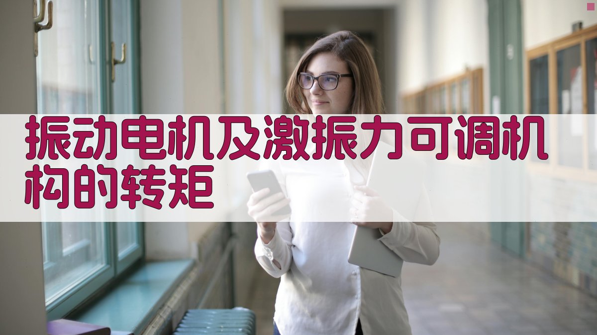 振动电机及激振力可调机构的转矩分析