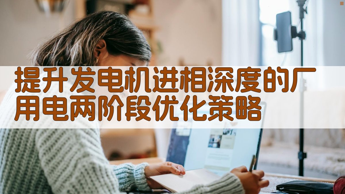 提升发电机进相深度分析工具