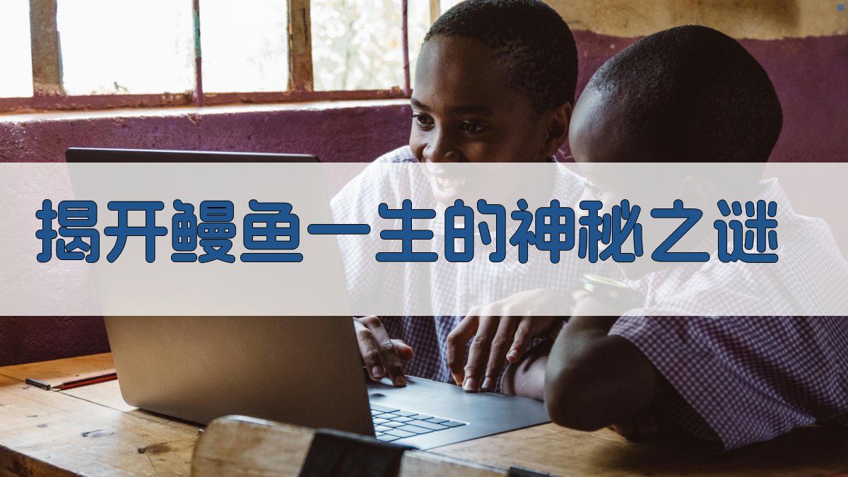 揭开鳗鱼一生的神秘之谜