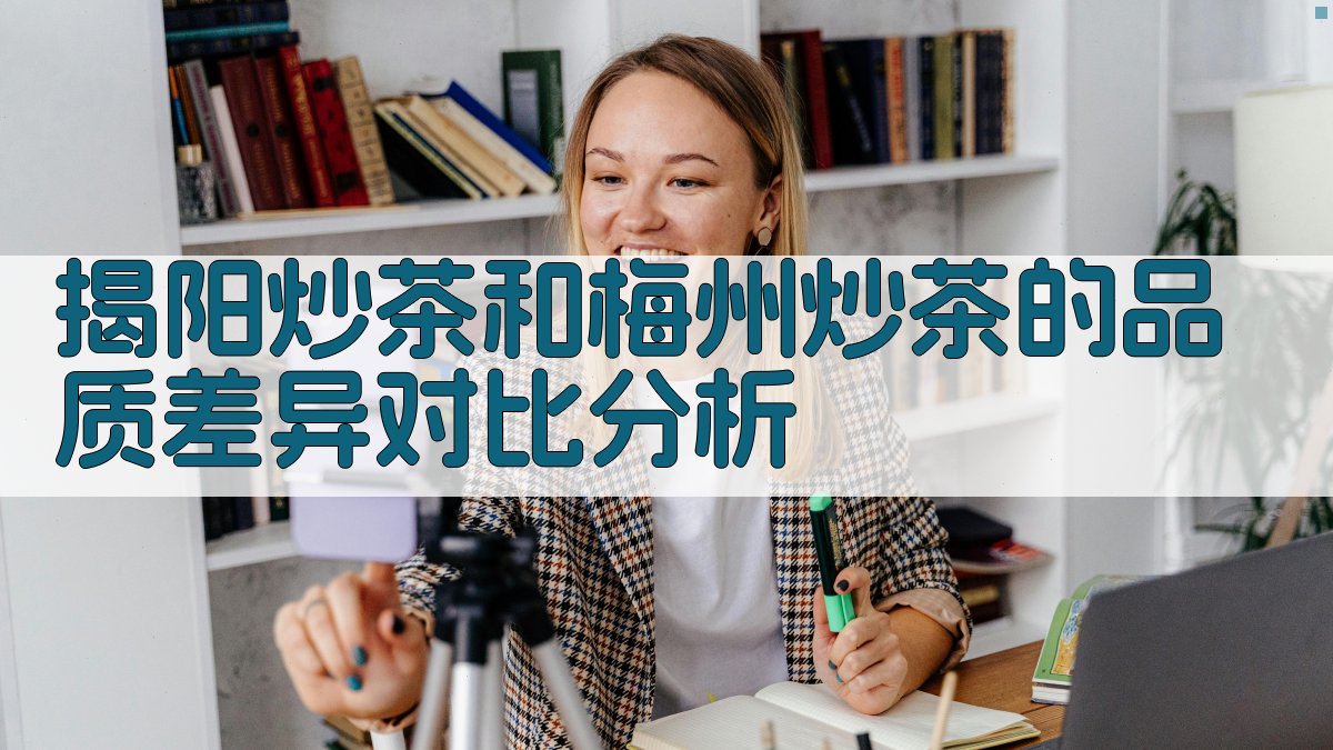 AI茶叶对比分析