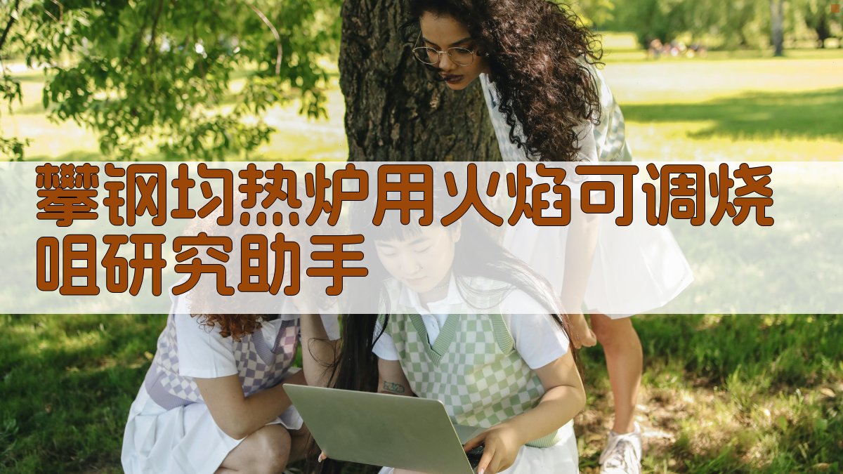 攀钢均热炉用火焰可调烧咀研究助手