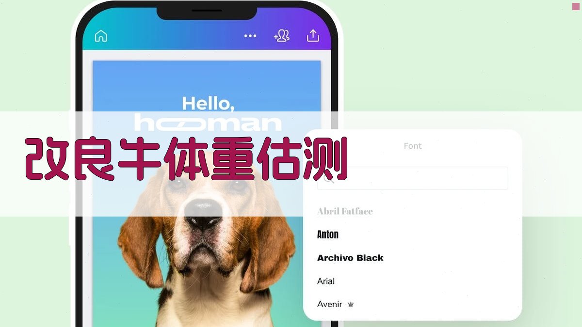 改良牛体重估测