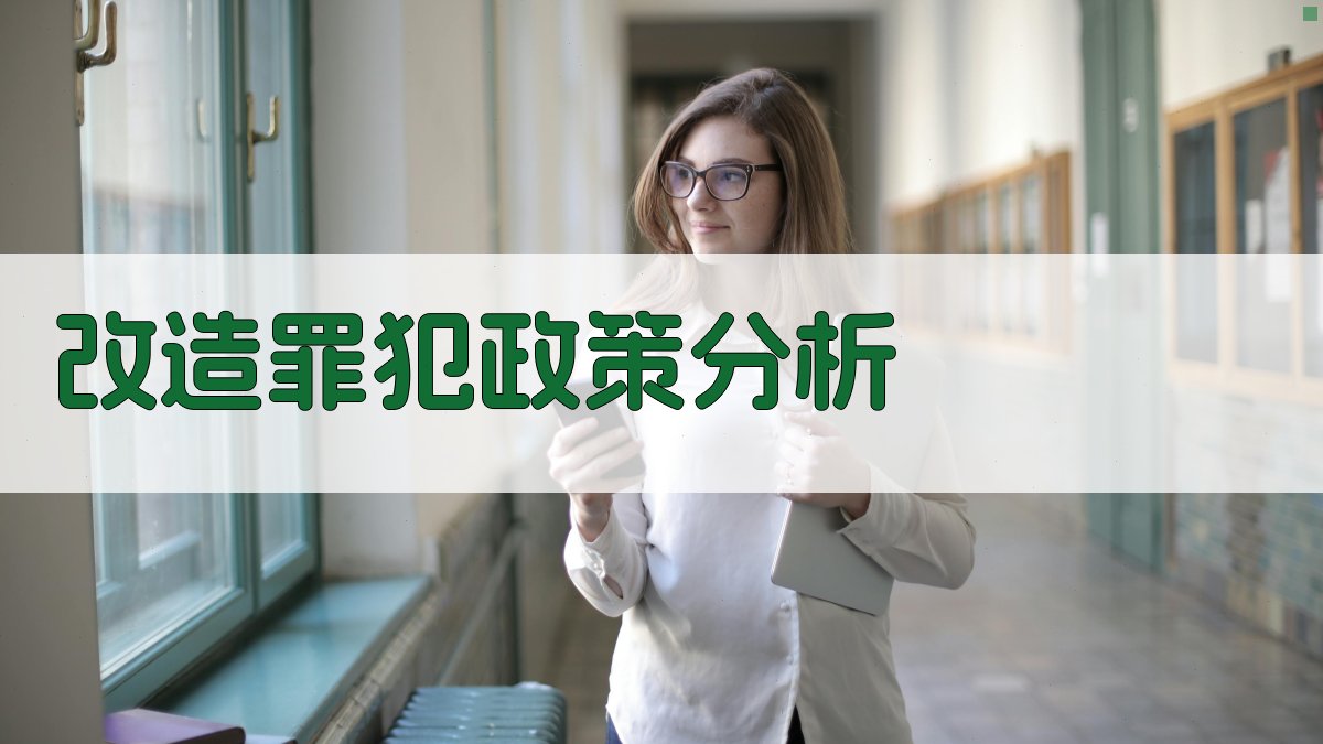 改造罪犯政策分析工具