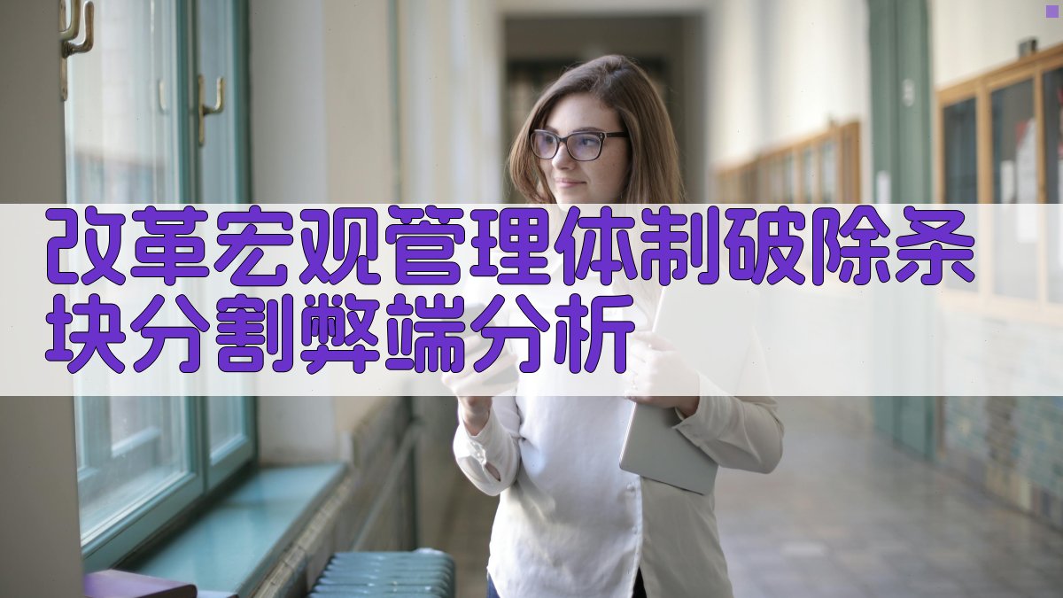 改革宏观管理体制破除条块分割弊端分析