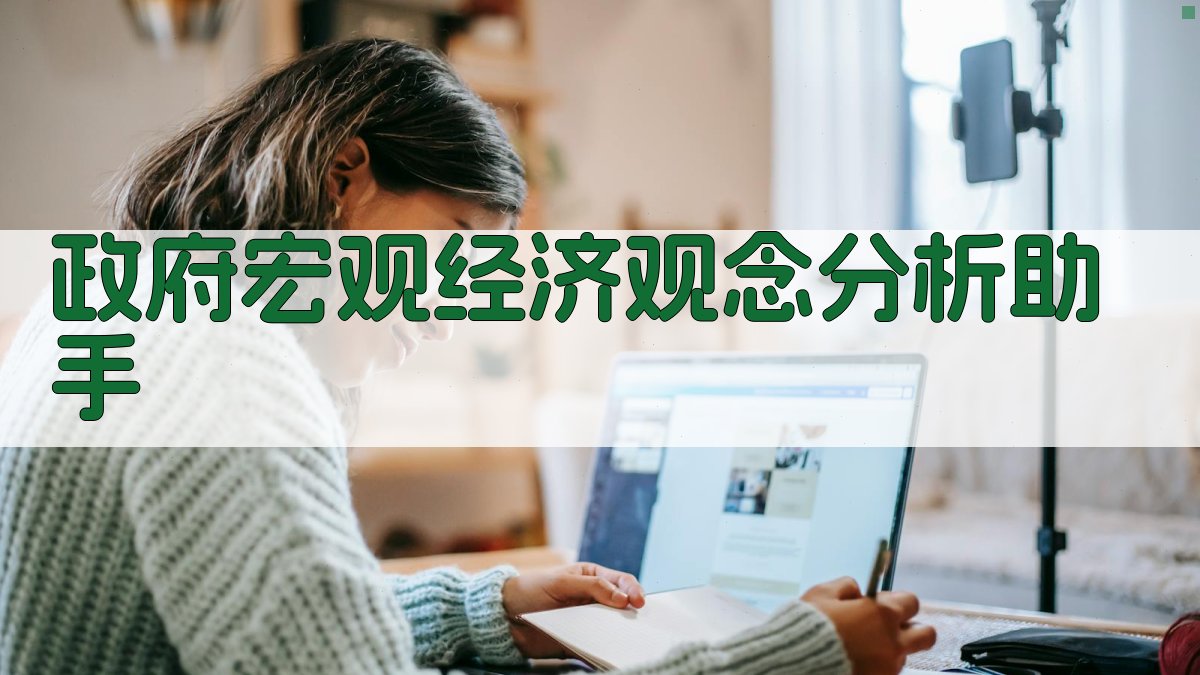政府宏观经济观念分析助手