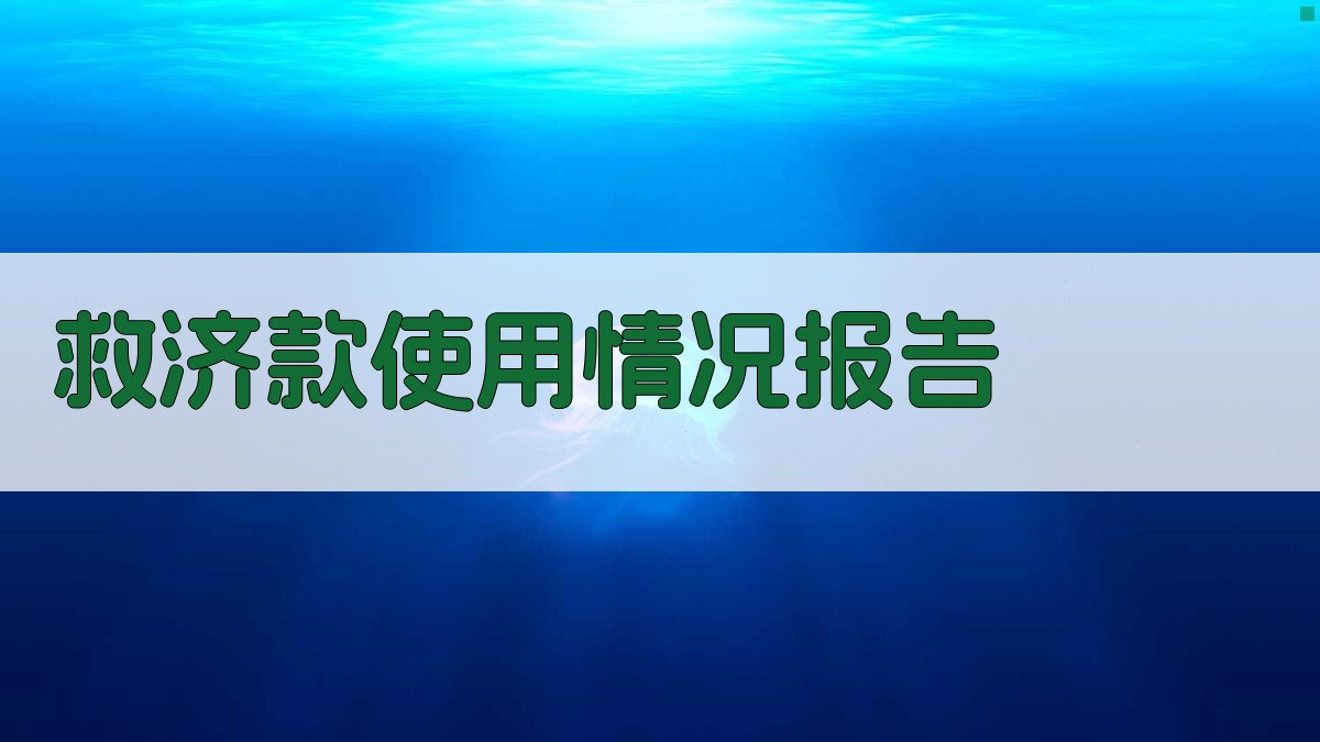 AI一键生成救济款使用情况报告