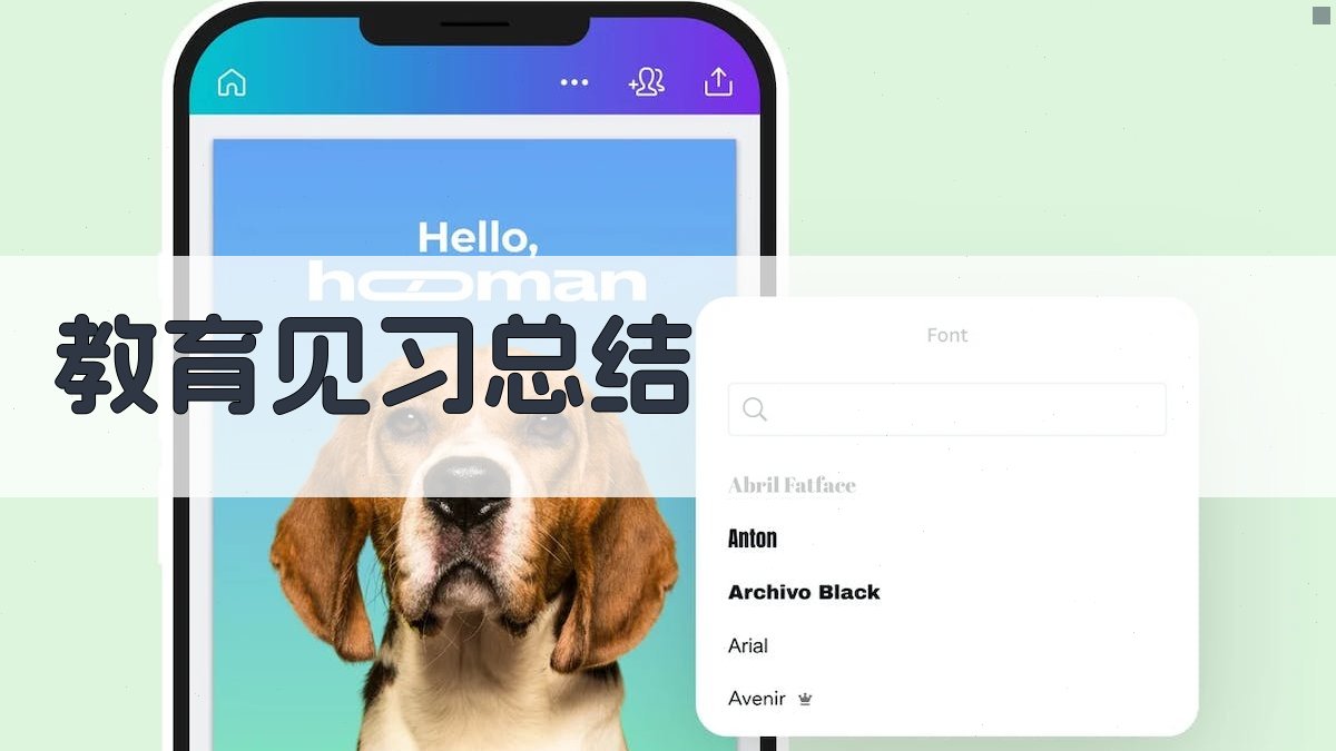 AI教育见习总结