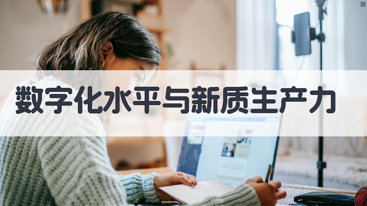 数字化水平与新质生产力研究