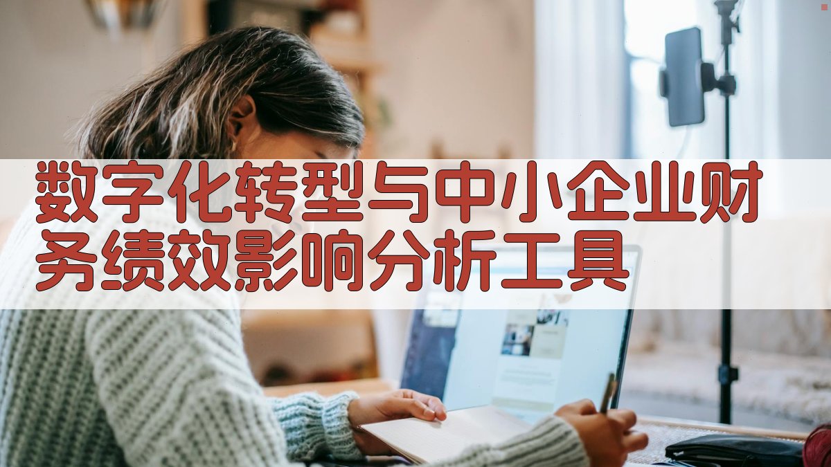 数字化转型与中小企业财务绩效影响分析工具