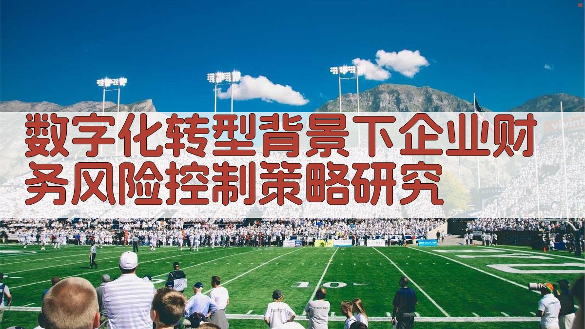 数字化转型背景下企业财务风险控制策略研究