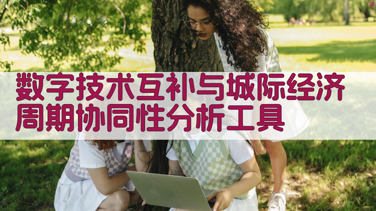 数字技术互补与城际经济周期协同性分析