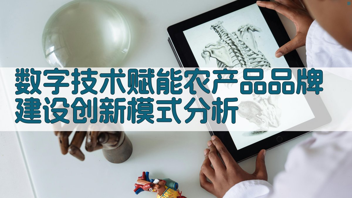 数字技术赋能农产品品牌建设创新模式分析