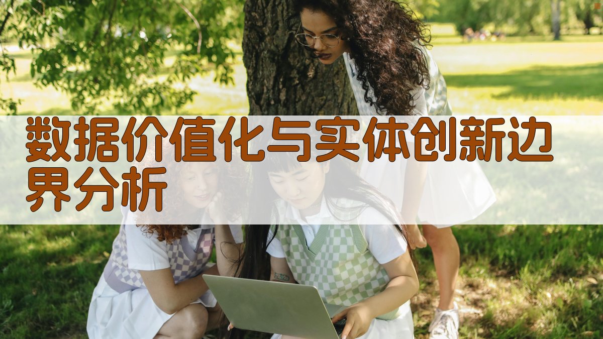 AI数据价值化与实体创新边界分析