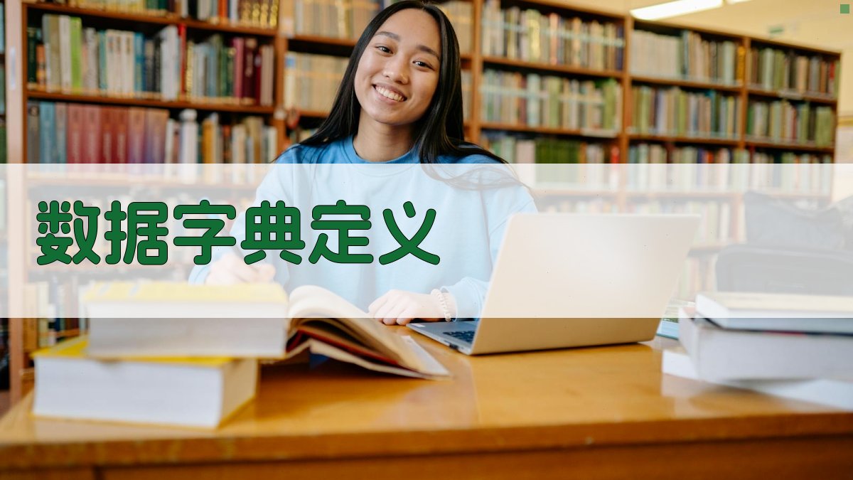 AI智能数据字典定义