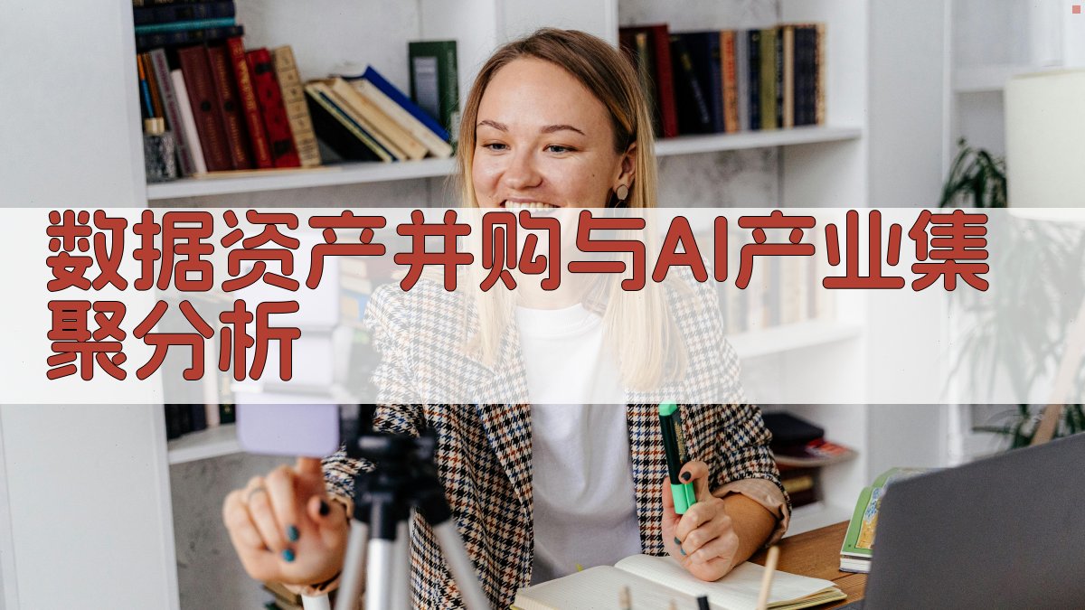 数据资产并购与AI产业集聚分析