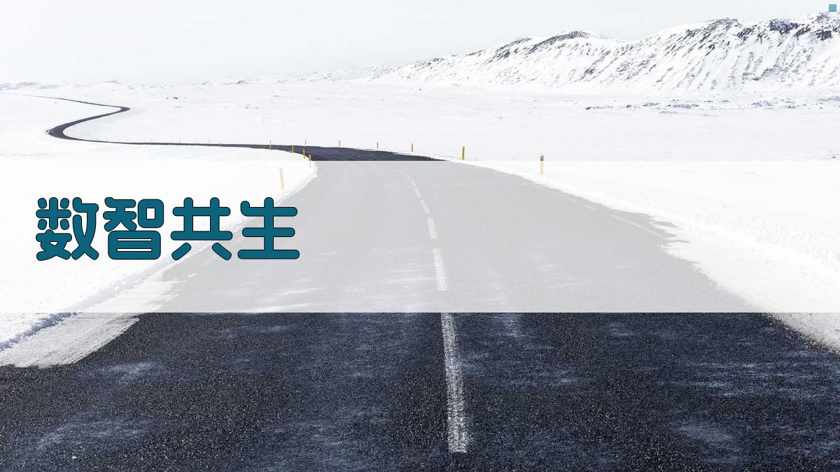 数智共生：技术融合与管理重构